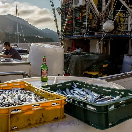 Matijas Appartamento *