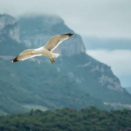 Appartamento Matijas Trstenik (Dubrovnik-Neretva)