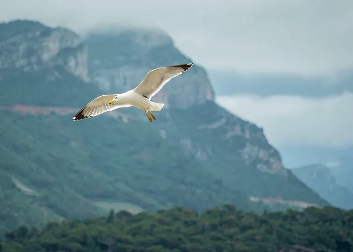 Daire Matijas Trstenik (Dubrovnik-Neretva)