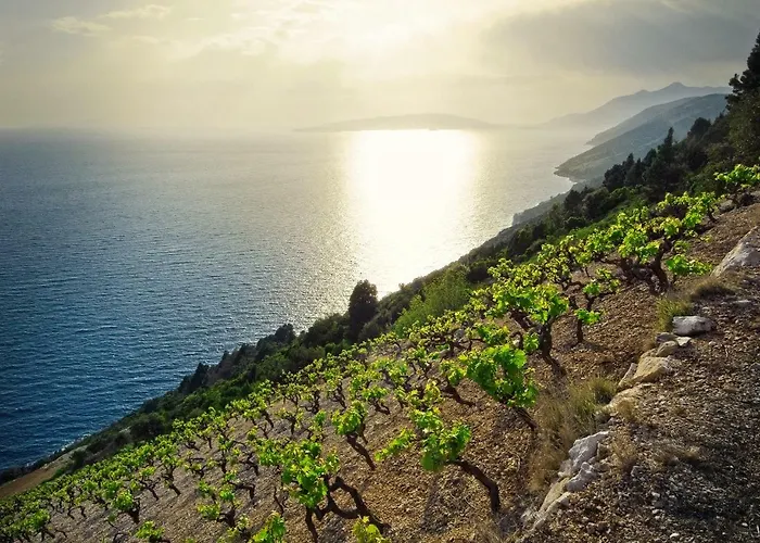 Matijas Daire Trstenik (Dubrovnik-Neretva)